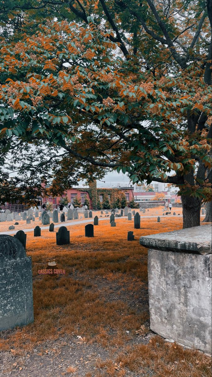 an old cemetery with tombstones and trees in the foreground, surrounded by grass