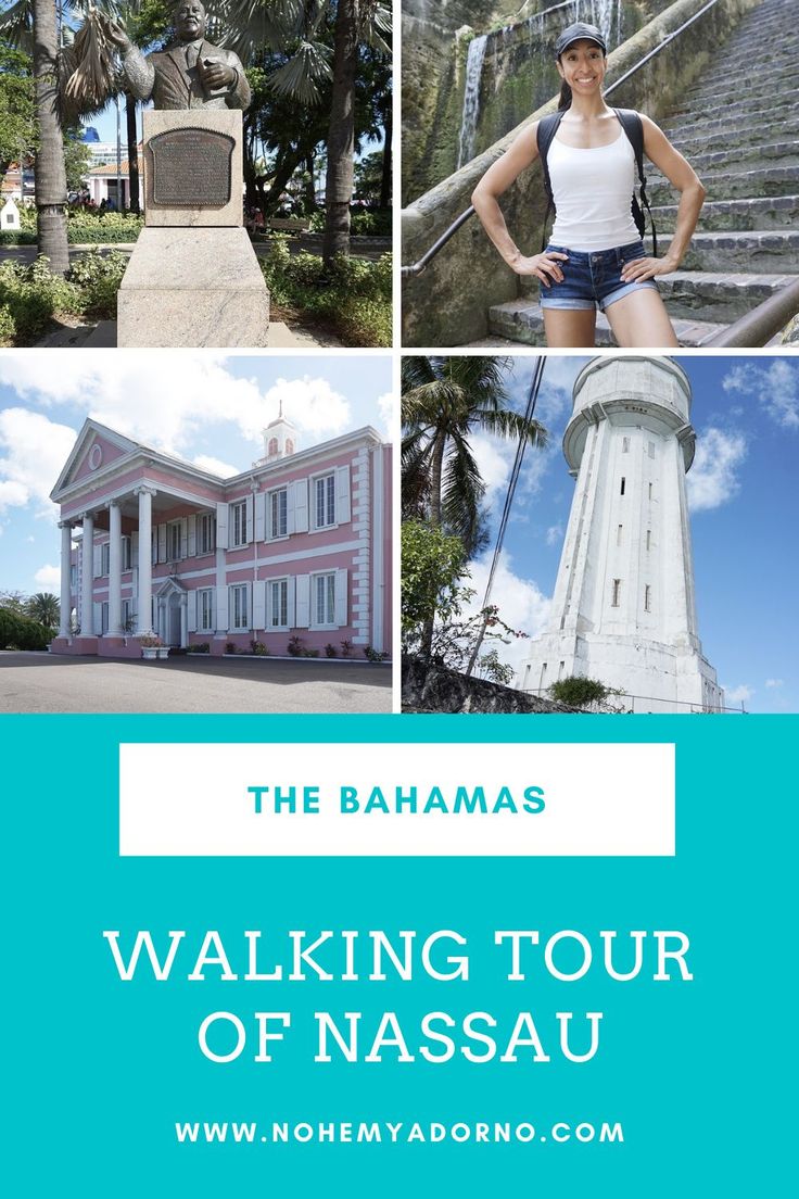 a woman standing in front of a building with stairs and palm trees on the other side