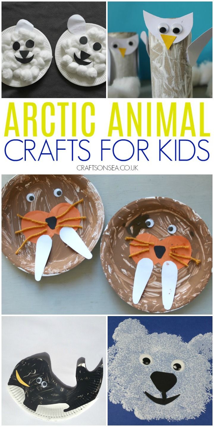 paper plate crafts for kids with arctic animals