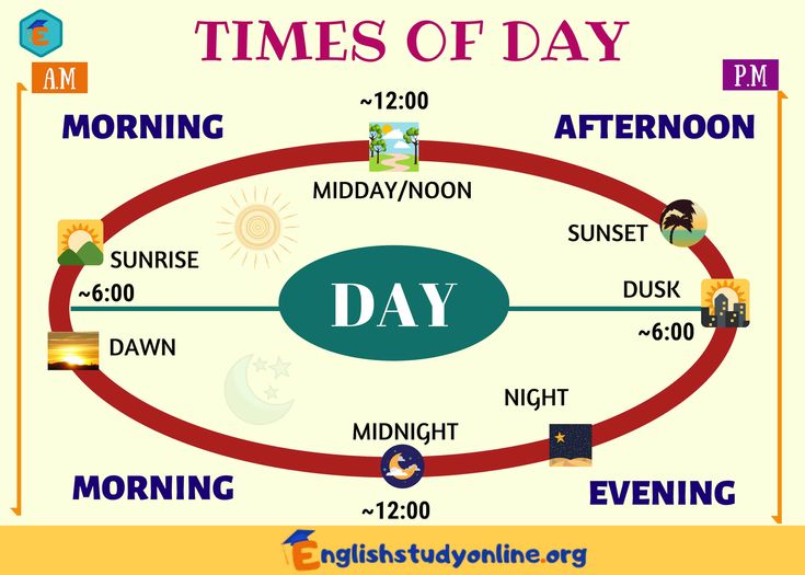 the times of day are shown in this graphic above it is an image of different things