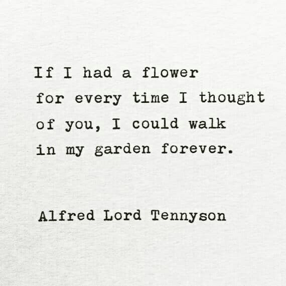 an old typewriter with the words if i had a flower for every time i thought of you, i could walk in my garden forever