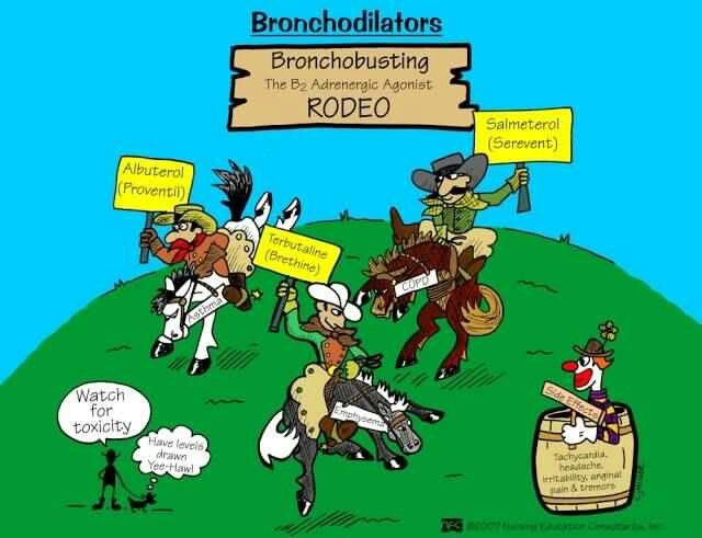 the cartoon shows people riding horses and holding signs that say, bronchholiators