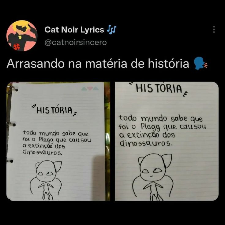 two notebooks with cartoon drawings on them, one has an image of a cat and the other says historia