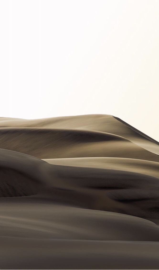 an abstract photo of sand dunes in the desert