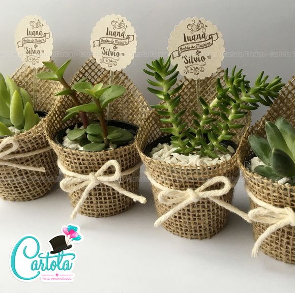 there are many succulents in burlap baskets with tags on them