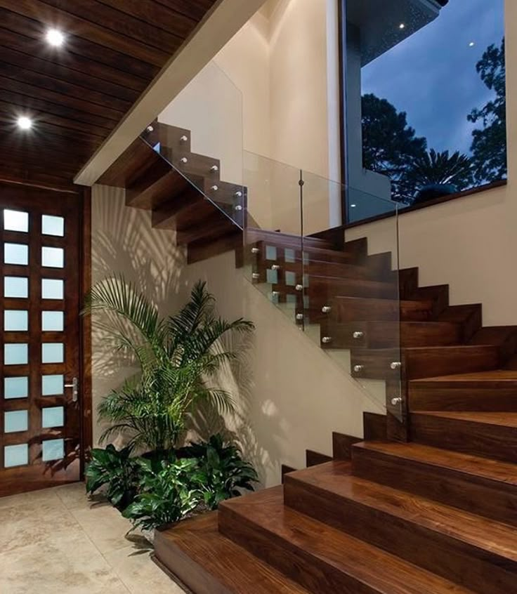 the stairs in this modern home are made of wood and glass, with an indoor planter below