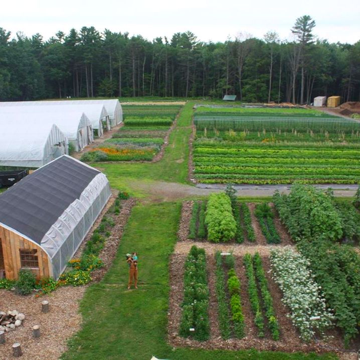 an aerial view of a vegetable garden