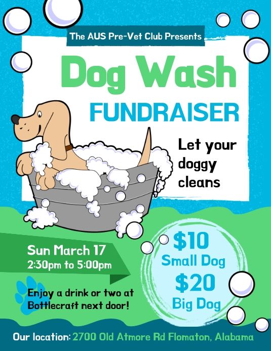 a flyer for a dog wash fundraiser