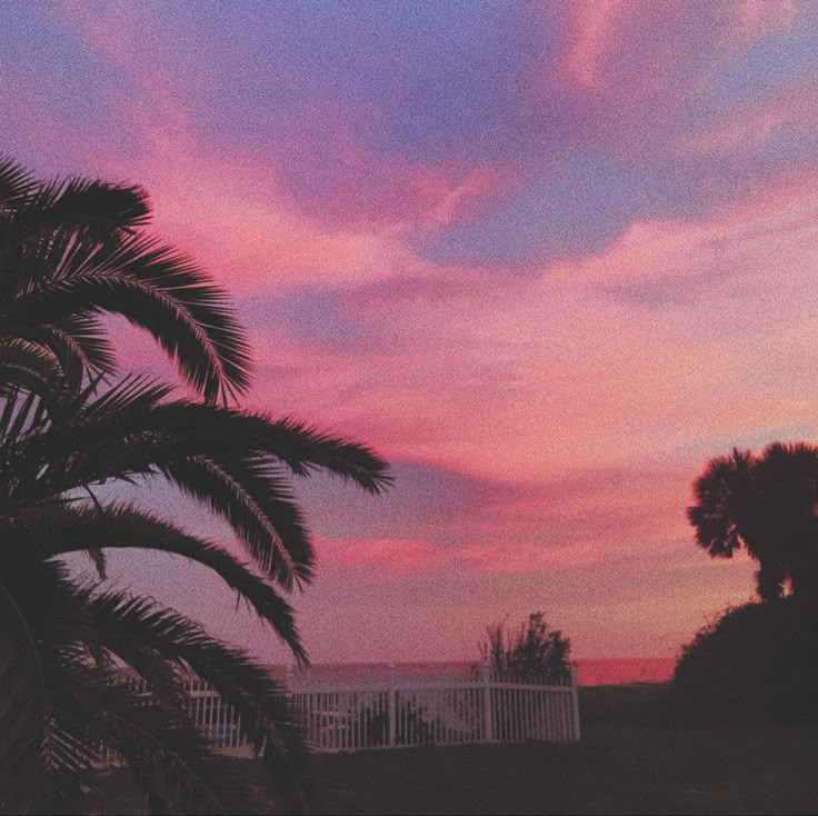 a palm tree is silhouetted against a pink and blue sky at sunset with the ocean in the background