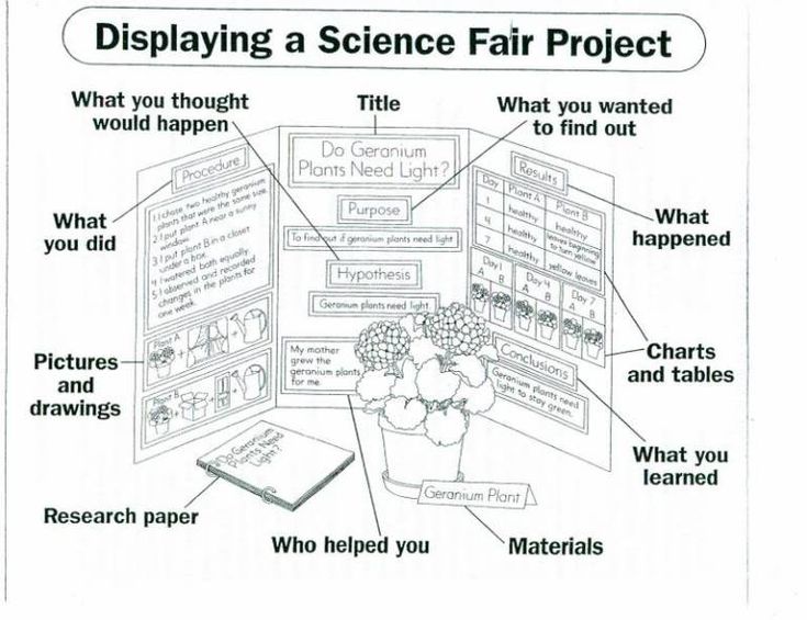 an image of a science fair project with information about the topic and its main features