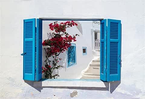 an open window with blue shutters and red flowers on the outside, in front of a white building