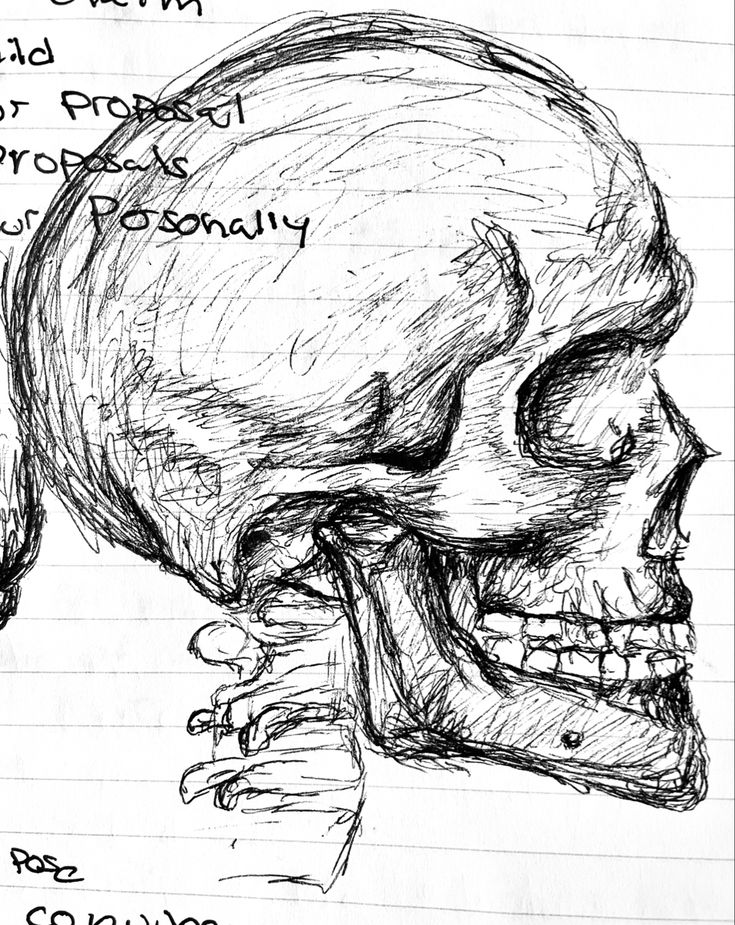 a drawing of a human skull with words written on the front and side of it