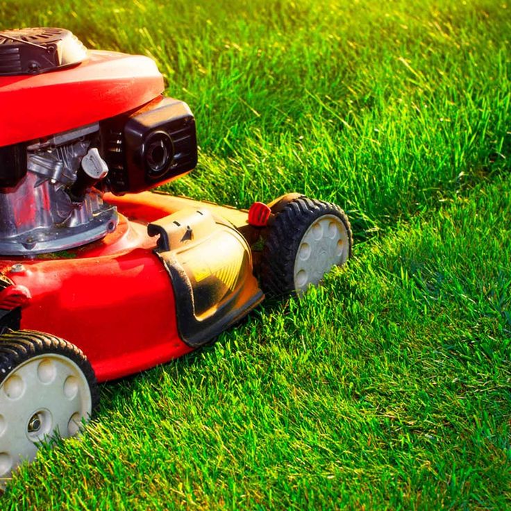 a red lawn mower sitting in the grass