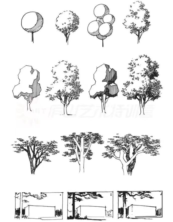 several different types of trees and bushes in the same drawing style, each with their own name