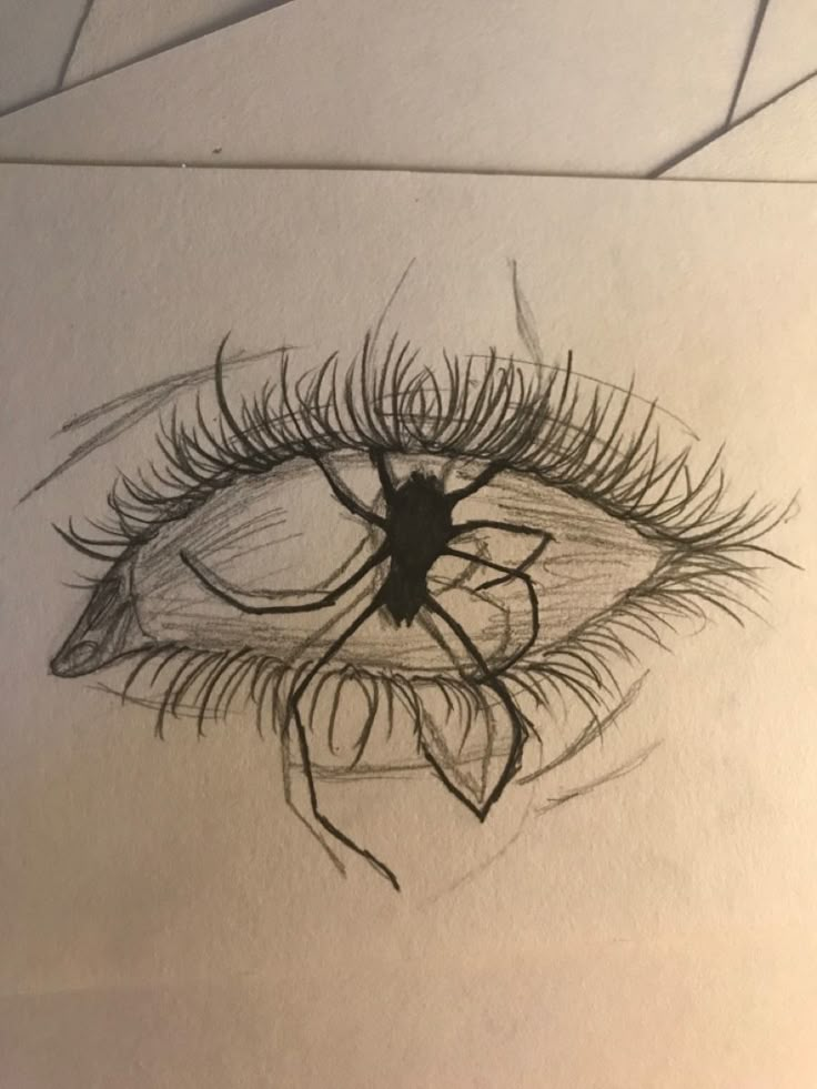 a drawing of an eye with long lashes and spider crawling on it's side