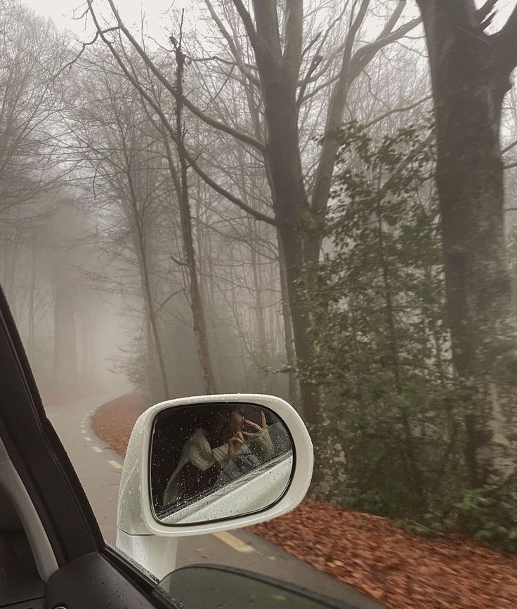 the rear view mirror of a car on a foggy road with trees in the background