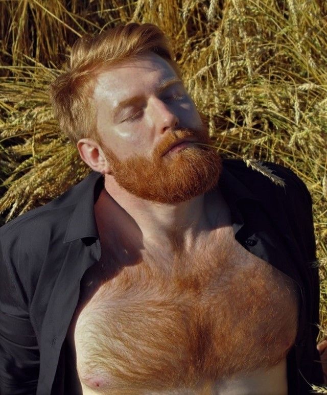 Ginger Hair Men, Blonde Beard, Beard Images, Teenage Hairstyles, Redhead Men, Beard Humor, Ginger Beard, Beard Hairstyle, Ginger Men