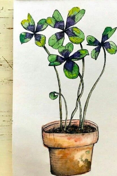 a potted plant with green leaves is shown on a white background, and it appears to be painted in watercolor