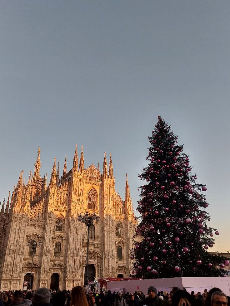 a large christmas tree is in front of a cathedral with people standing around it and looking up at the sky