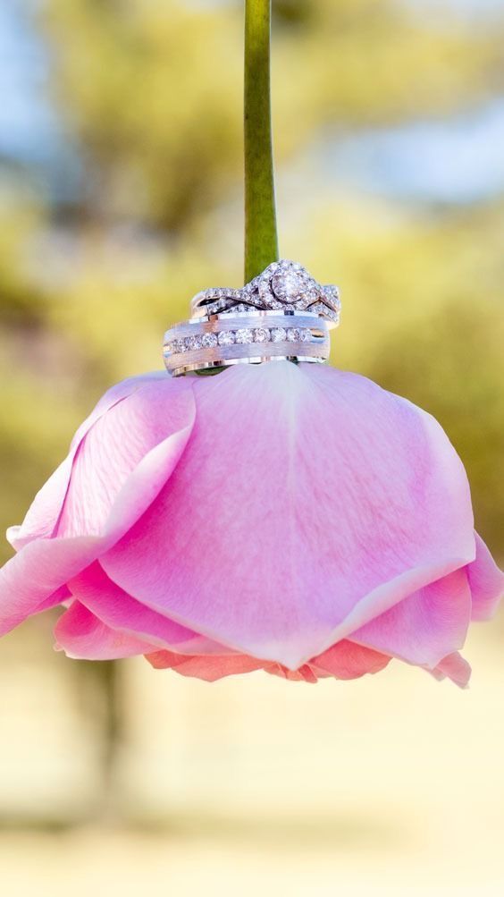 a pink rose with two wedding rings on it