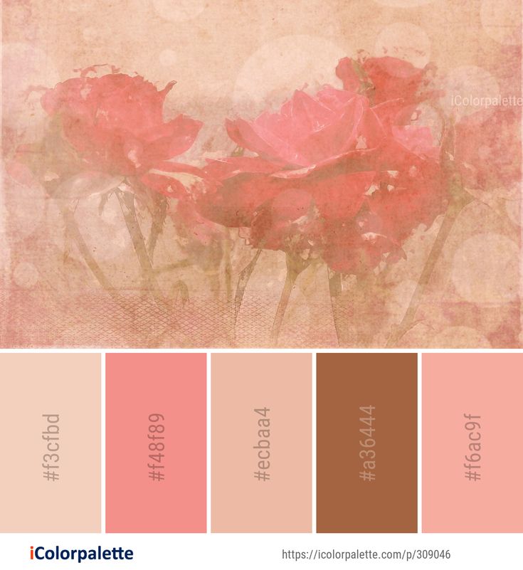 the color palette is pink and brown with red flowers on it, as well as an old