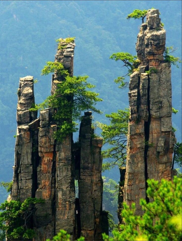 some very tall rock formations with trees growing out of them in front of the mountains