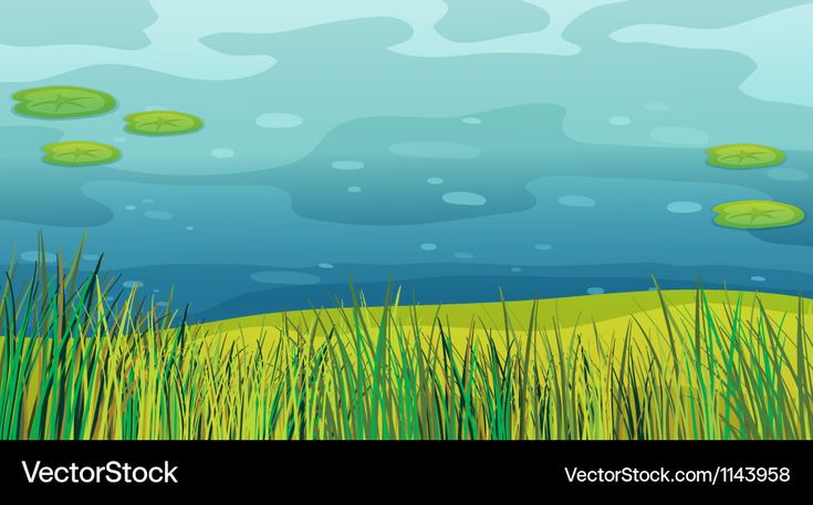 a pond with lily pads and water lilies in the foreground illustration by vectostock