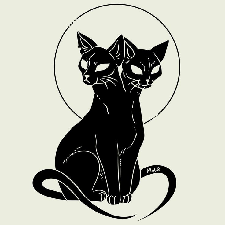 two black cats sitting next to each other