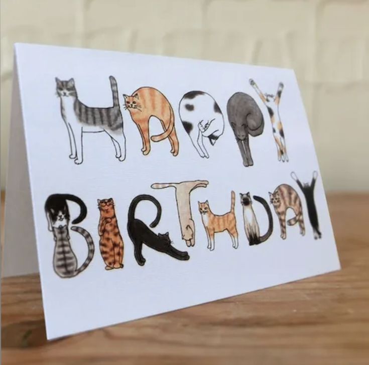 a birthday card with cats on it sitting on a table next to a potted plant