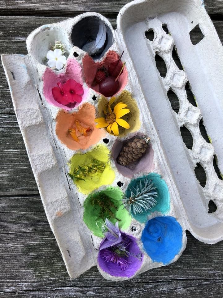 an egg carton filled with lots of different types of paint and flowers on top of it