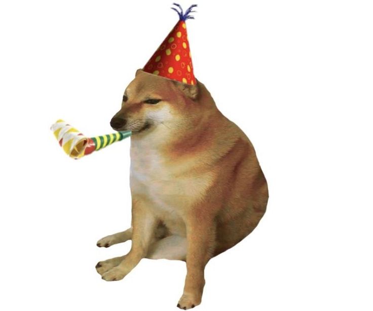 a dog wearing a party hat with a toy in it's mouth sitting down