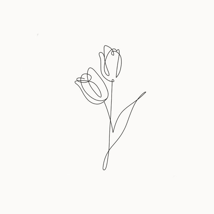 a line drawing of two flowers on a white background