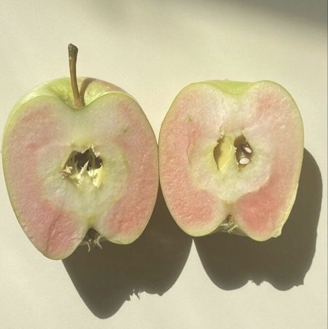 an apple cut in half sitting on top of a white table next to another apple