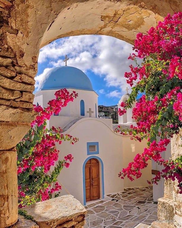 an arched doorway with pink flowers growing on it and a blue dome in the background