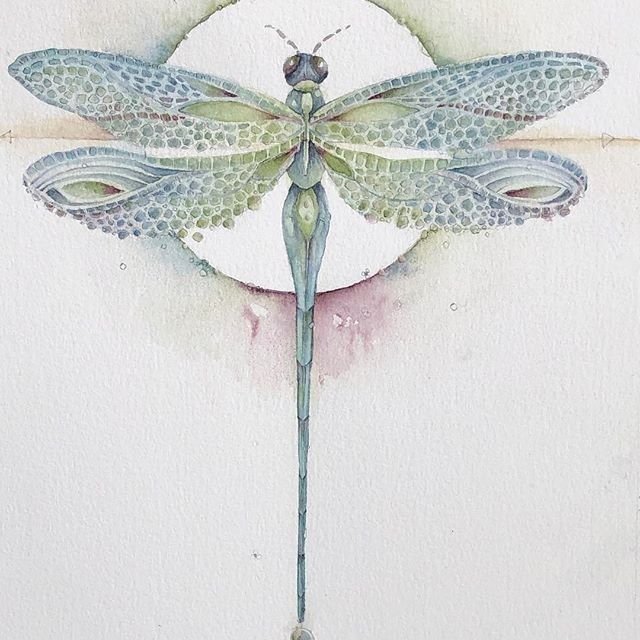 a watercolor painting of a dragonfly on a white background