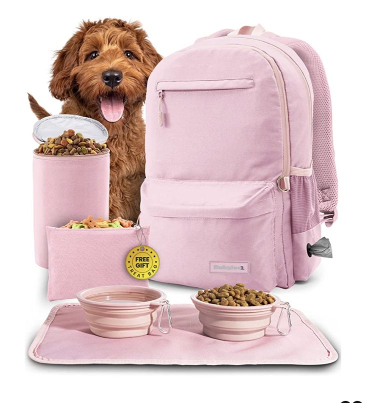 a dog is standing next to some pink backpacks and food bowls on the table