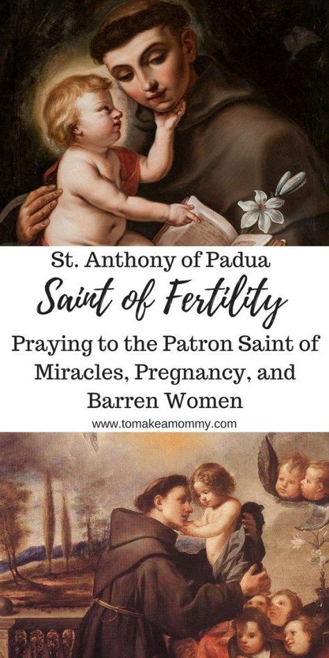 the cover of st anthony of pada's saint of fetity praying to the patron saint of miracless, pregnant and barren women