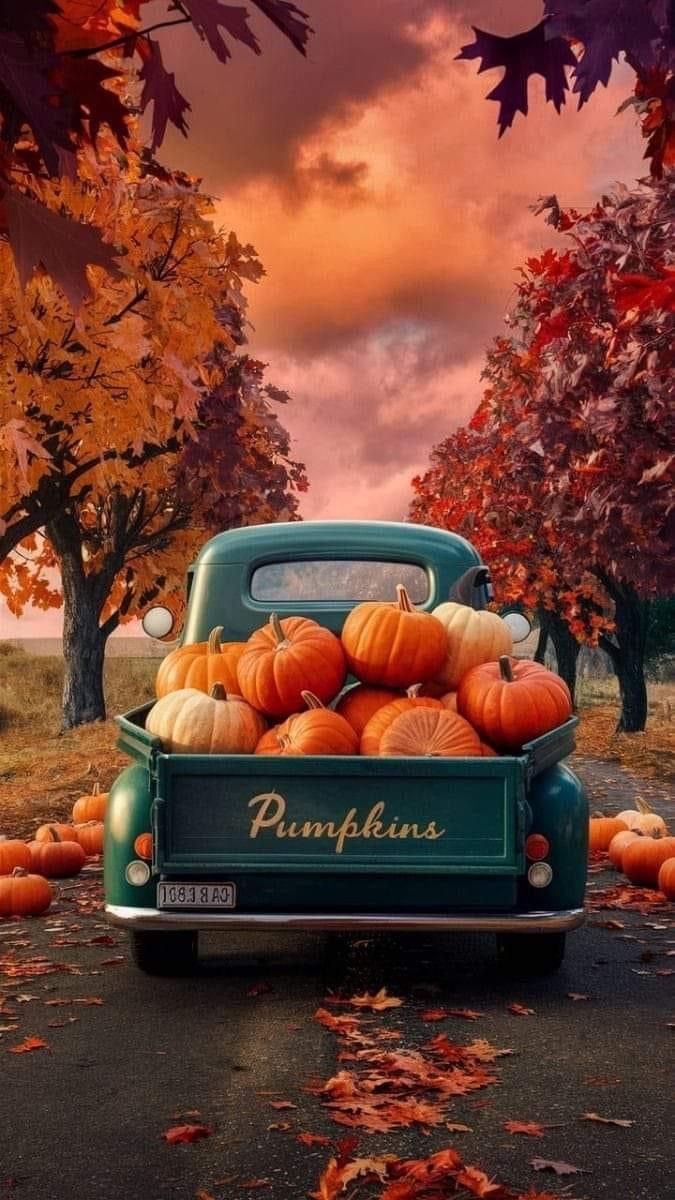 an old truck with pumpkins in the back