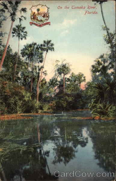 an old postcard shows the view of a pond and palm trees in the foreground