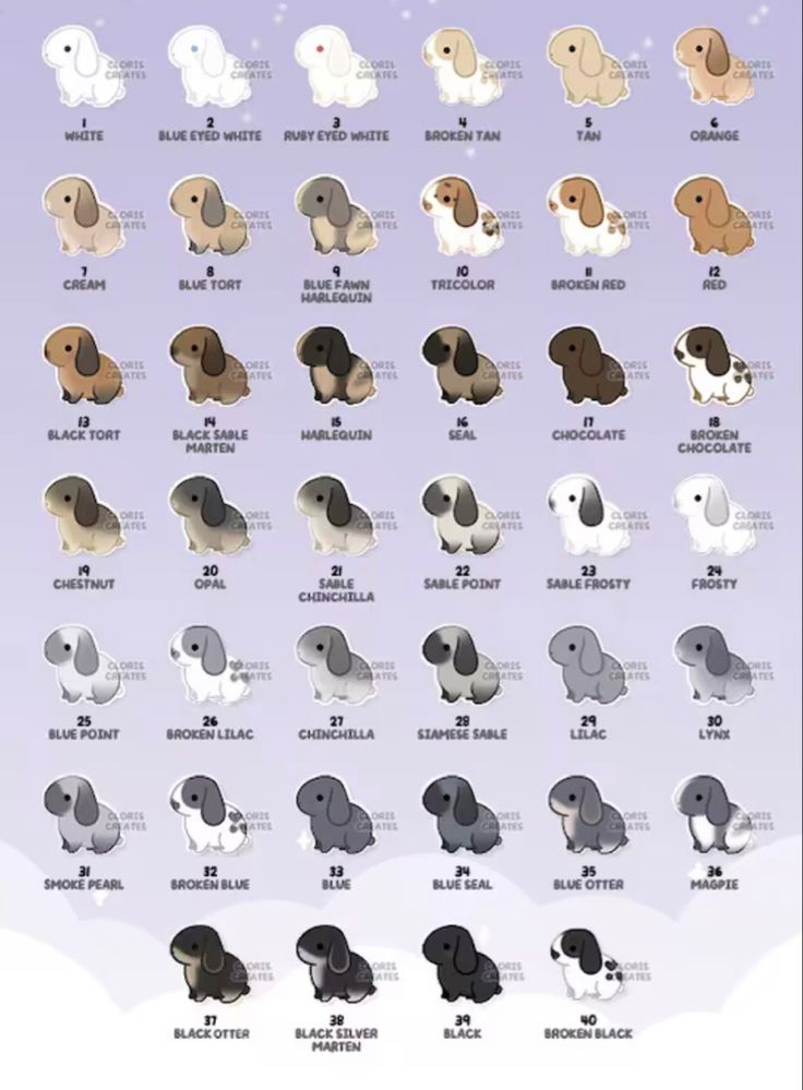 the different breeds of dogs are shown in this poster, which includes an image of their names