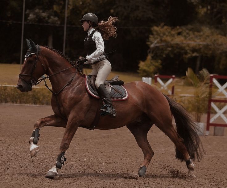 a woman riding on the back of a brown horse