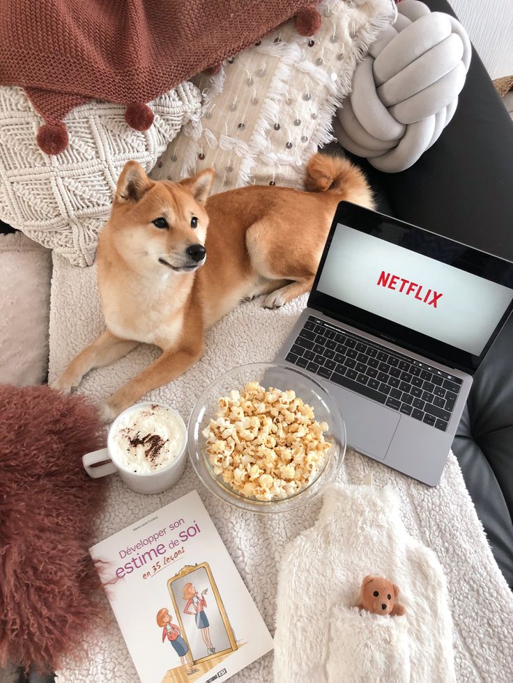 a dog laying on the floor next to a laptop computer and popcorn bowl with its owner