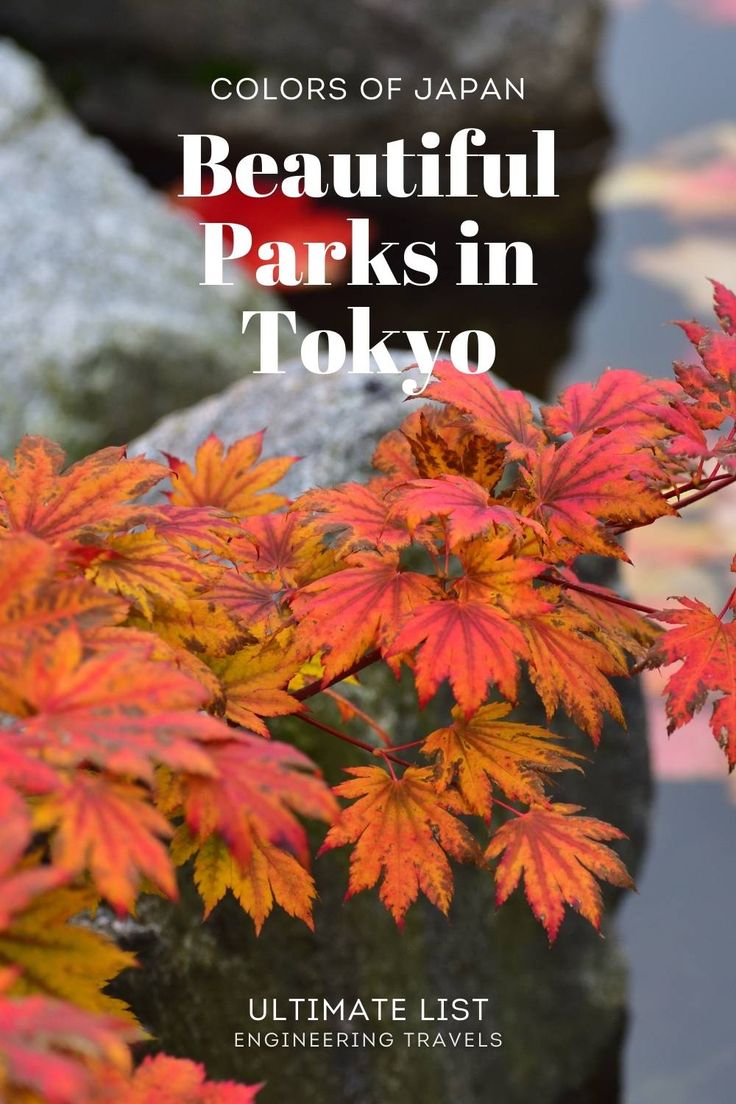 colorful leaves in tokyo, japan with text overlaying the image that reads colors of japan beautiful parks in tokyo ultimate list