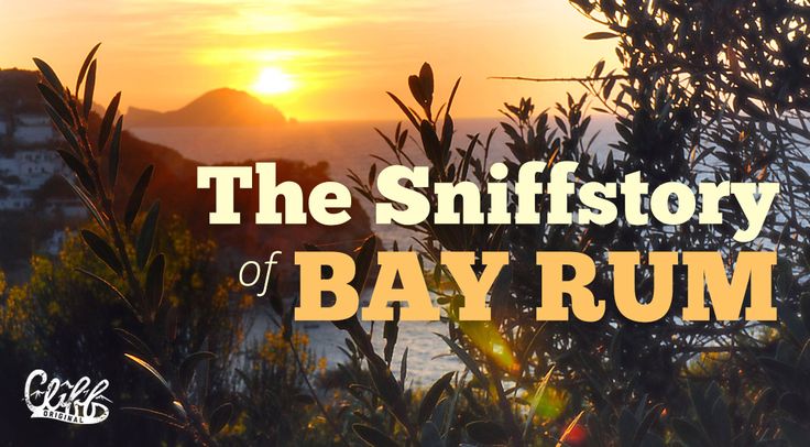 the sun is setting behind some trees and bushes with text that reads, the sniff story of bayrum