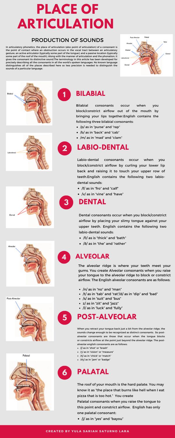 the anatomy of the head and neck, with instructions on how to put it in place