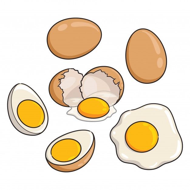 eggs and an egg shell on a white background