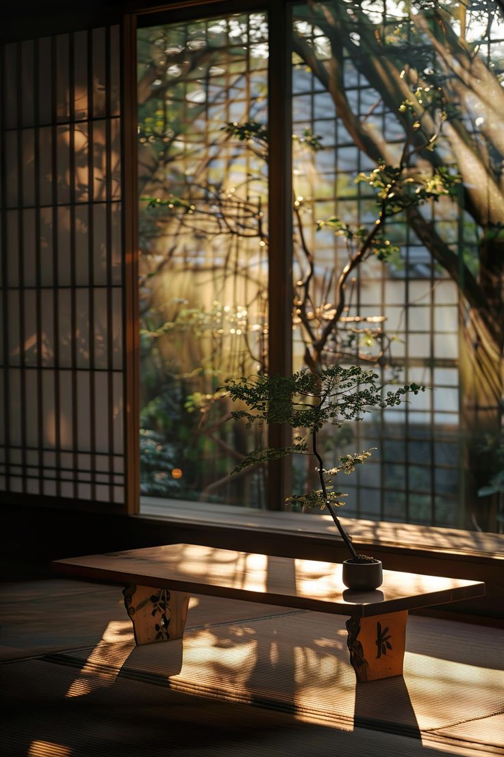 a bonsai tree in front of an open window