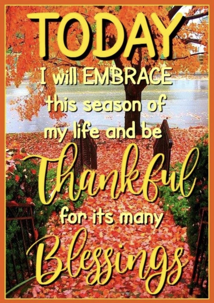 a thanksgiving card with the words today i will embrace this season of my life and be grateful