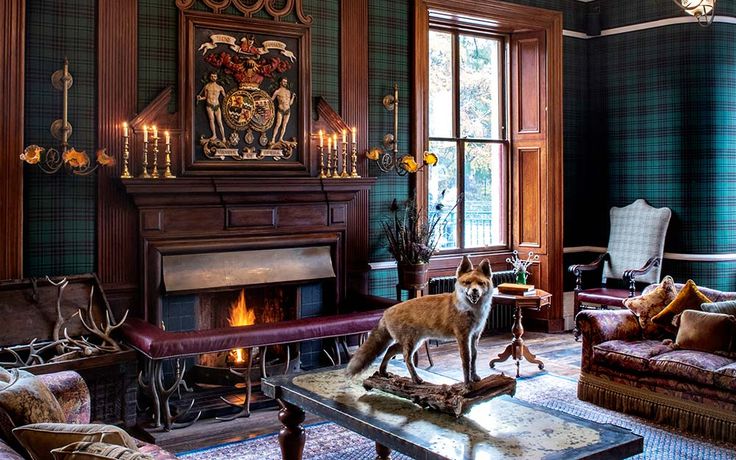 a dog standing on top of a table in a living room next to a fire place