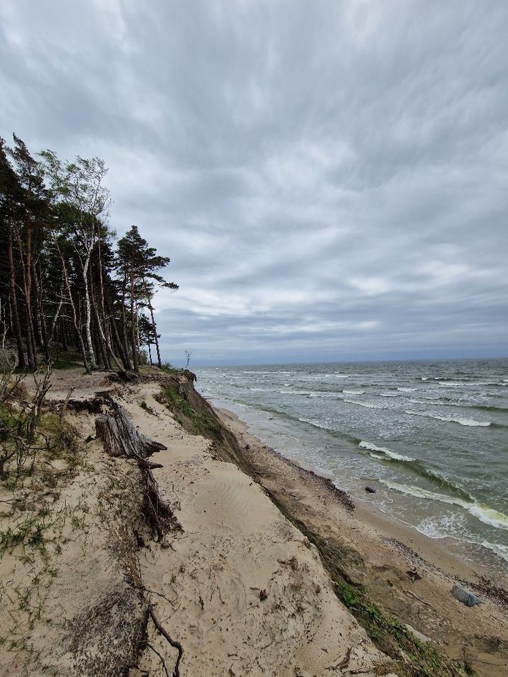 a sandy beach next to the ocean on a cloudy day with lots of trees in the background